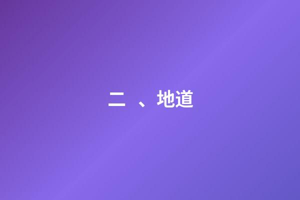 二、地道